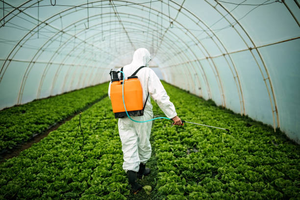 Best Local Pest Control Services  in West Branch, MI